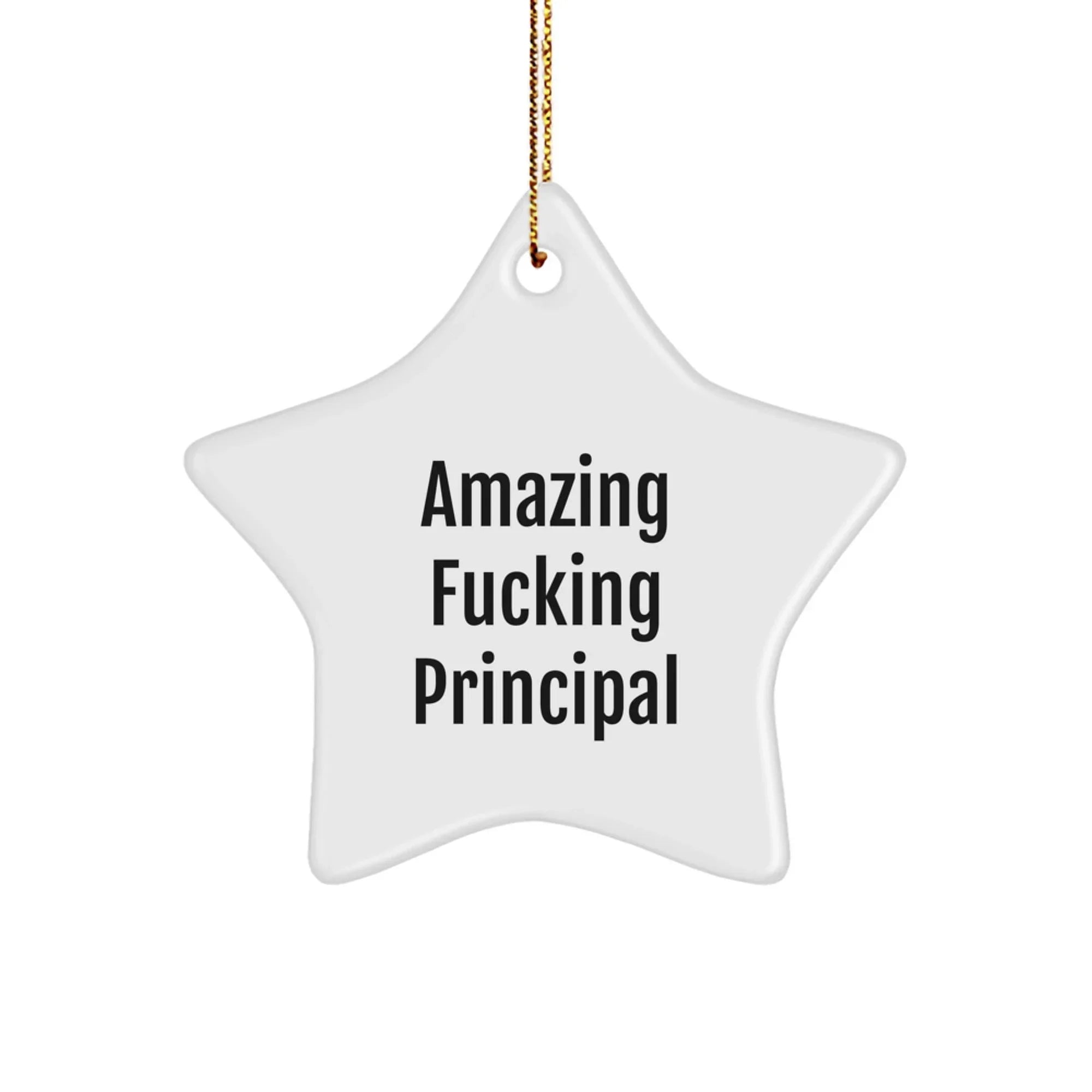 Funny Principal Star Ornament Gifts from Friends for Principal, Amazing Quote Star Ornament for Christmas Unique Gifts, Principal Star Ornament with Gold Cord