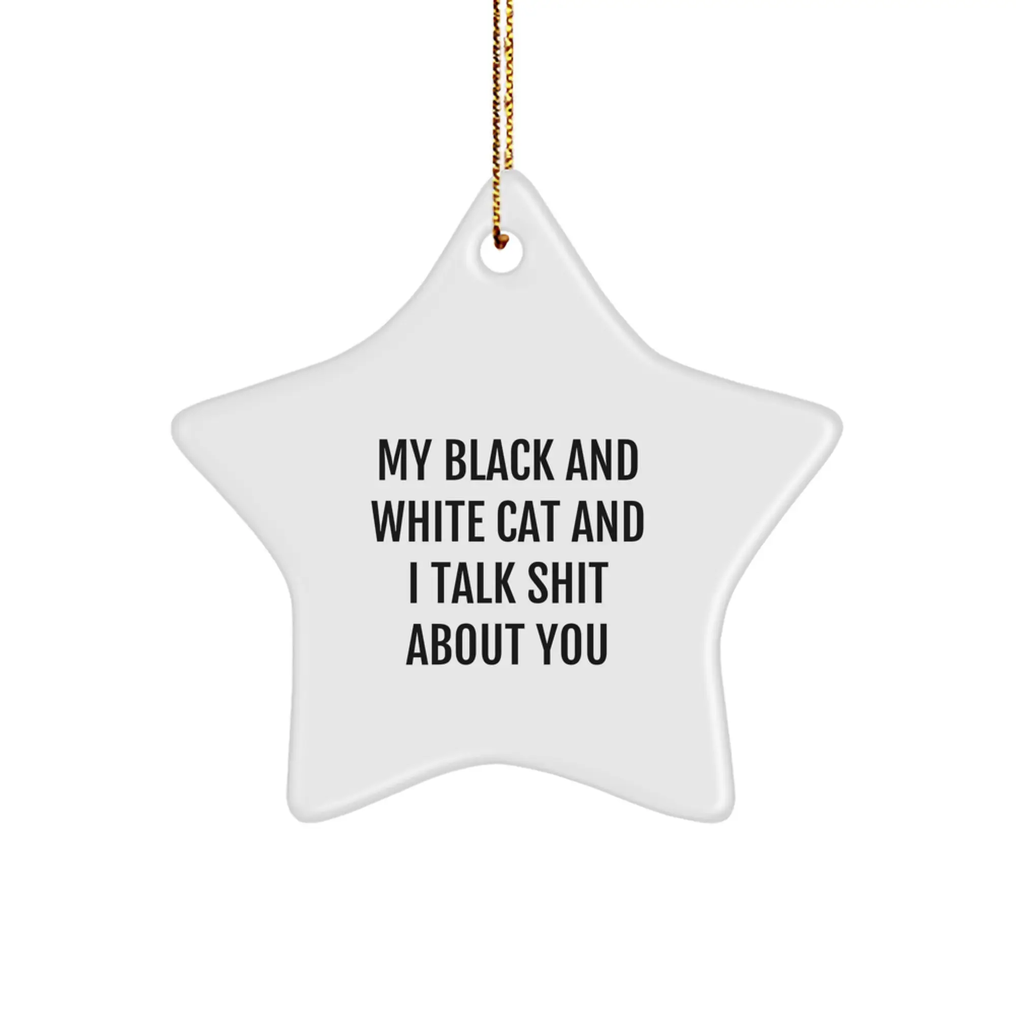 Funny Black and White Cat Gifts for Men - Cute Star Ornament, Christmas Unique Gifts from Friends to Family - Image 1