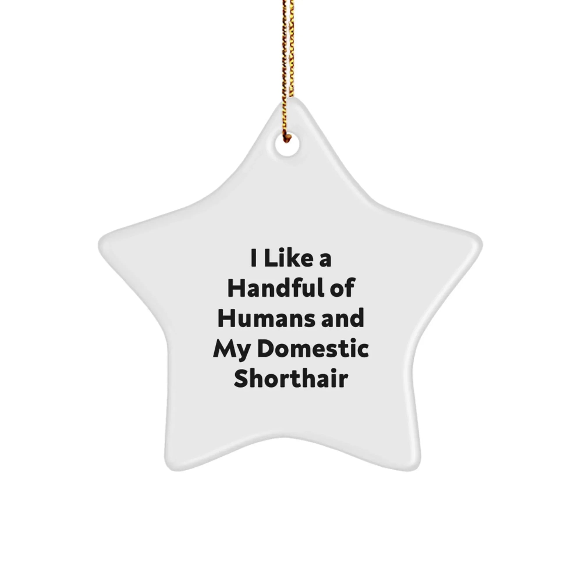 Funny Domestic Shorthair Cat Star Ornament Gifts for Him from Friends, Christmas Unique Decorations