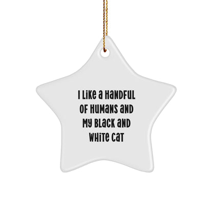 Black and White Cat Lovers' Christmas Unique Gift - Star Ornament with Funny Quote, 'I Like a Handful of Humans and My Black and White Cat', Perfect for Friends, Family, or Coworkers from You
