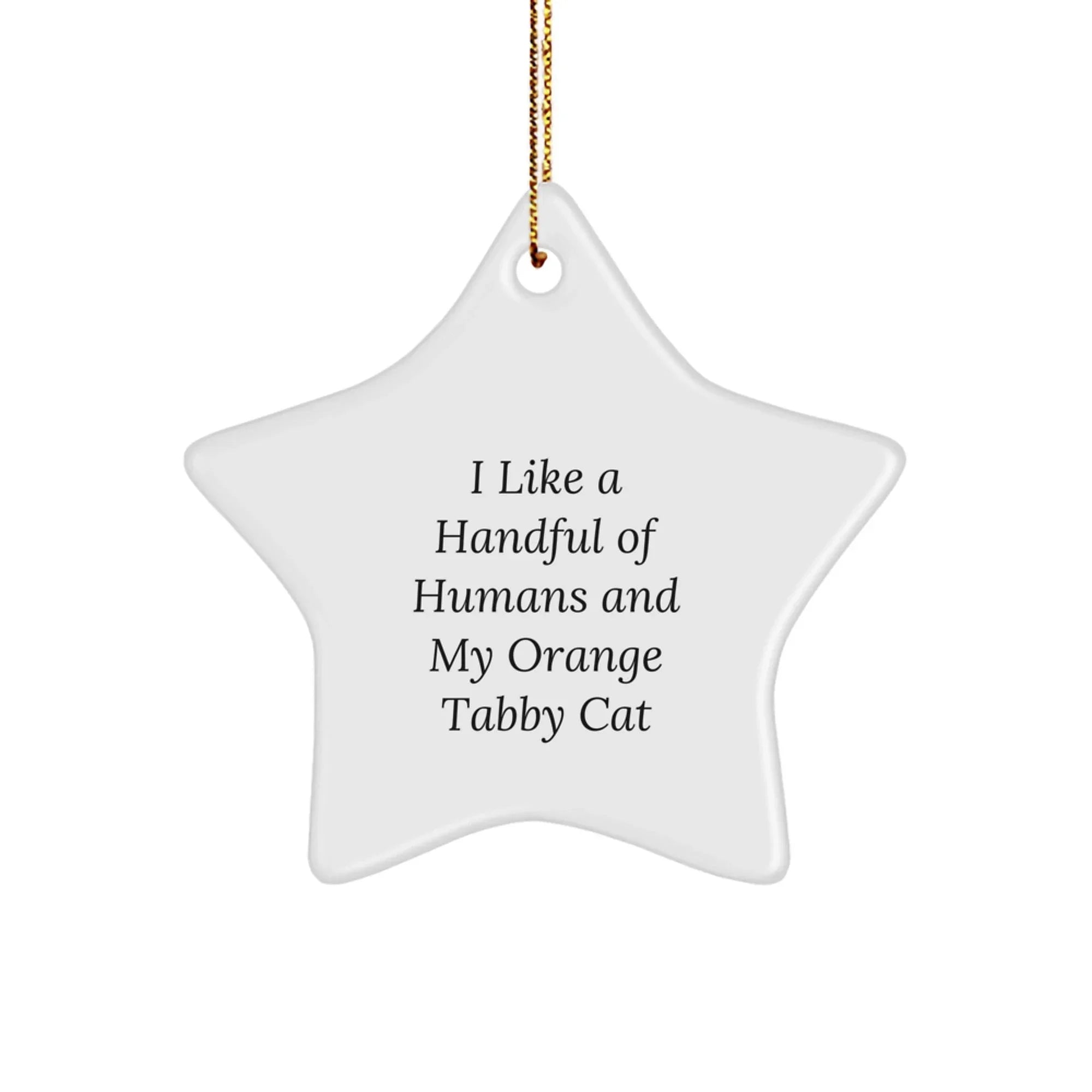 Funny Orange Tabby Cat Lover Gifts from Men to Friends for Christmas Unique Star Ornament