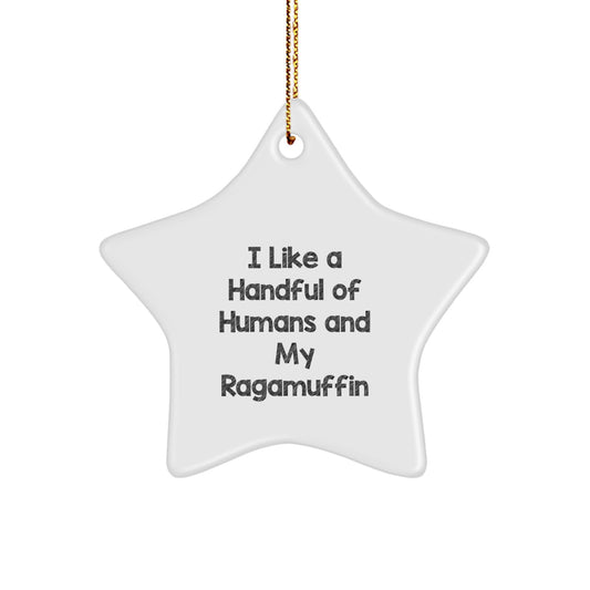 Fun Christmas Unique Gift for Ragamuffin Cat Lovers - I Like A Handful Of Humans And My Ragamuffin Star Ornament - Image 1