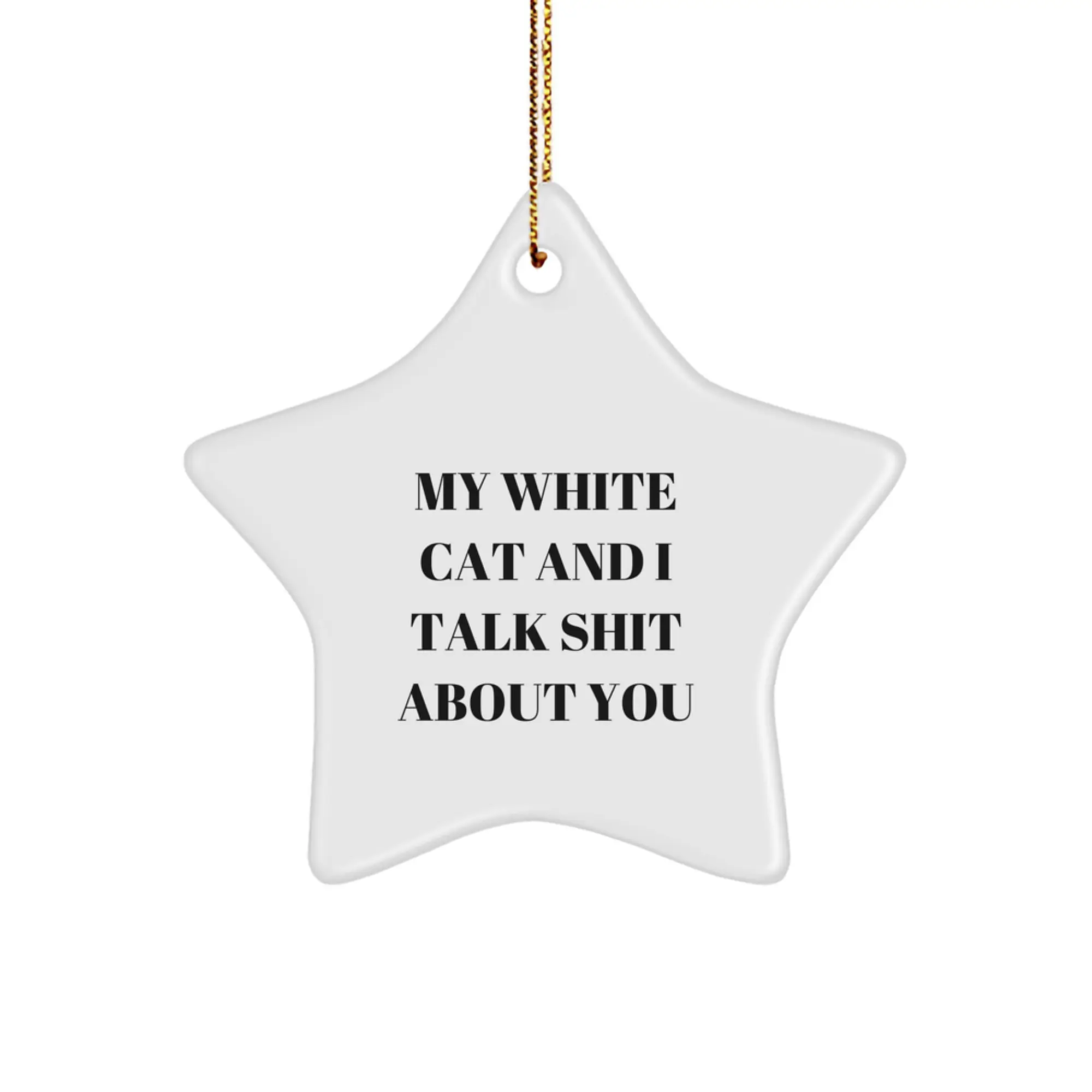 Funny White Cat Lover Gift from Friends to Family for Christmas Unique Ornament My White Cat And I Talk Shit About You - Image 1