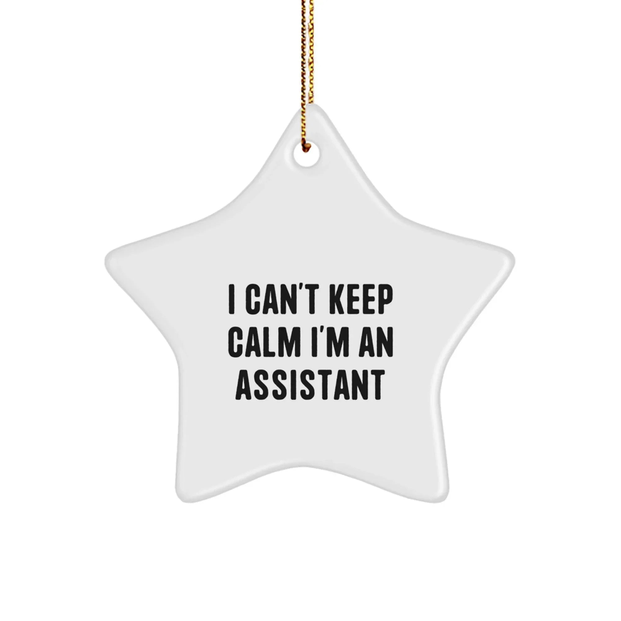 Funny Christmas Unique Gifts from Men for Assistant Star Ornaments I Can't Keep Calm I'm An Assistant