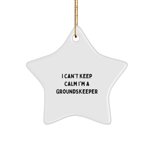 Funny groundskeeper Gifts from Friends for groundskeeper Men Christmas Unique Star Ornament - Image 1