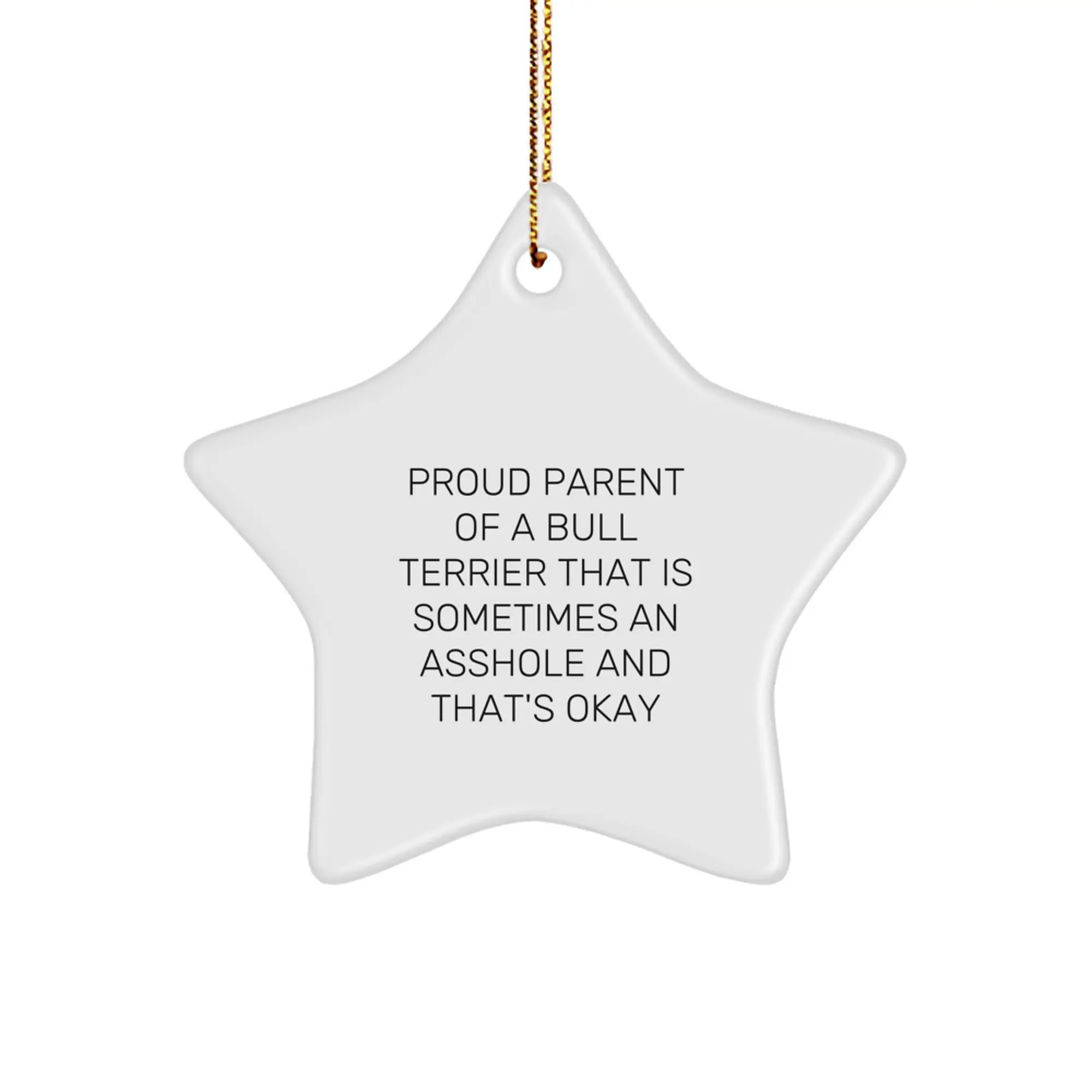 Funny Bull Terrier Dog Gifts for Proud Parents - Star Ornament Christmas Unique Decorations from Family - Image 1