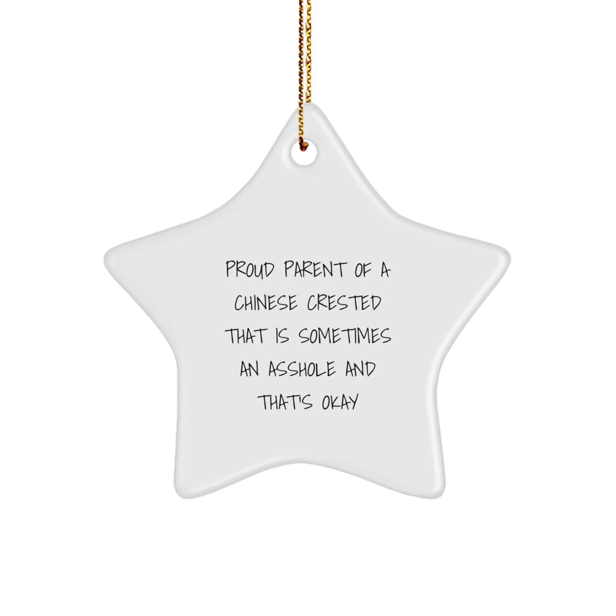 Chinese Crested Dog Funny Star Ornament Gifts from Men to Family for Christmas Unique - Image 1
