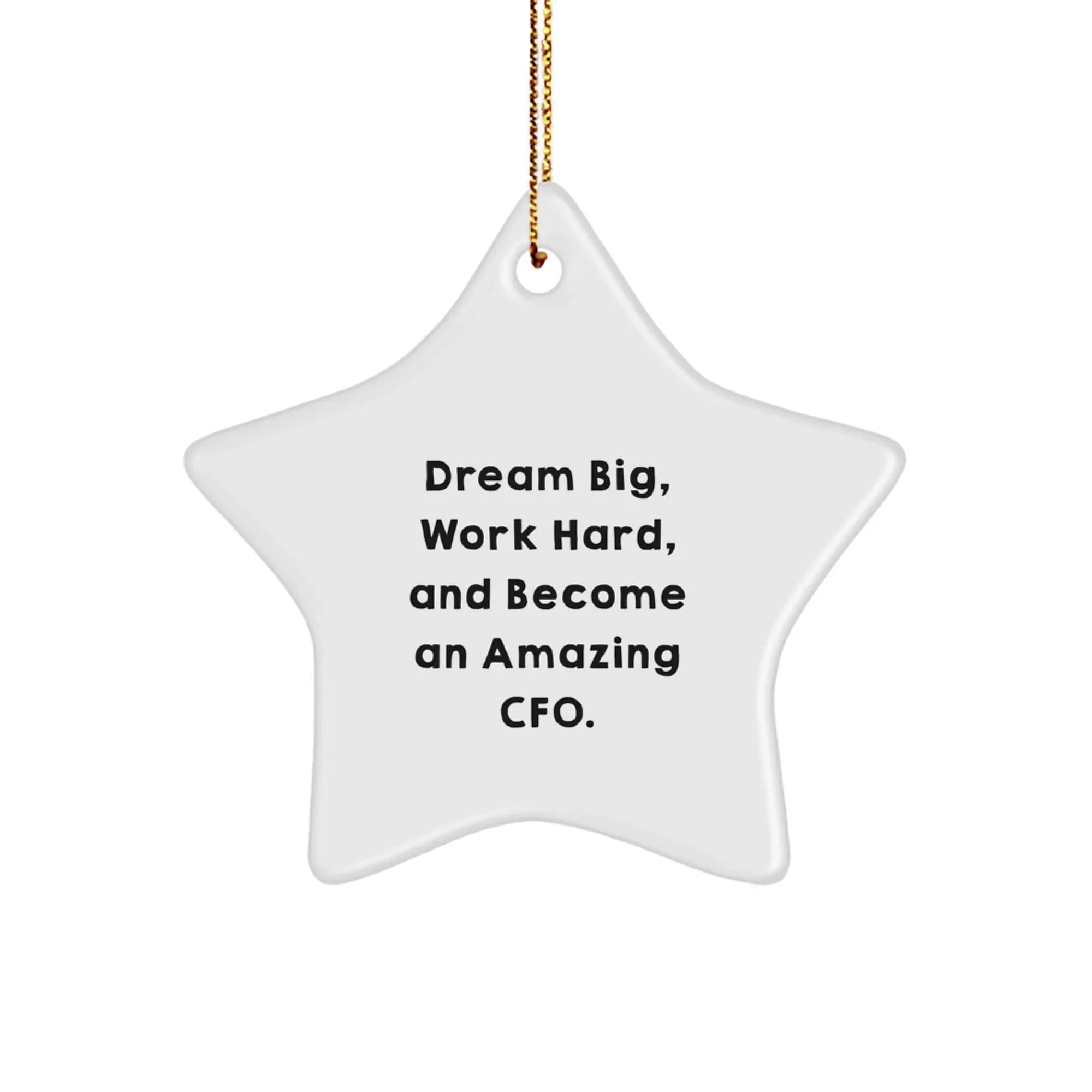 Funny Inspirational CFO Gifts from Men to Friends, CFO Star Ornament for Christmas Unique Gifts, 'Dream Big, Work Hard, And Become An Amazing Cfo.'
