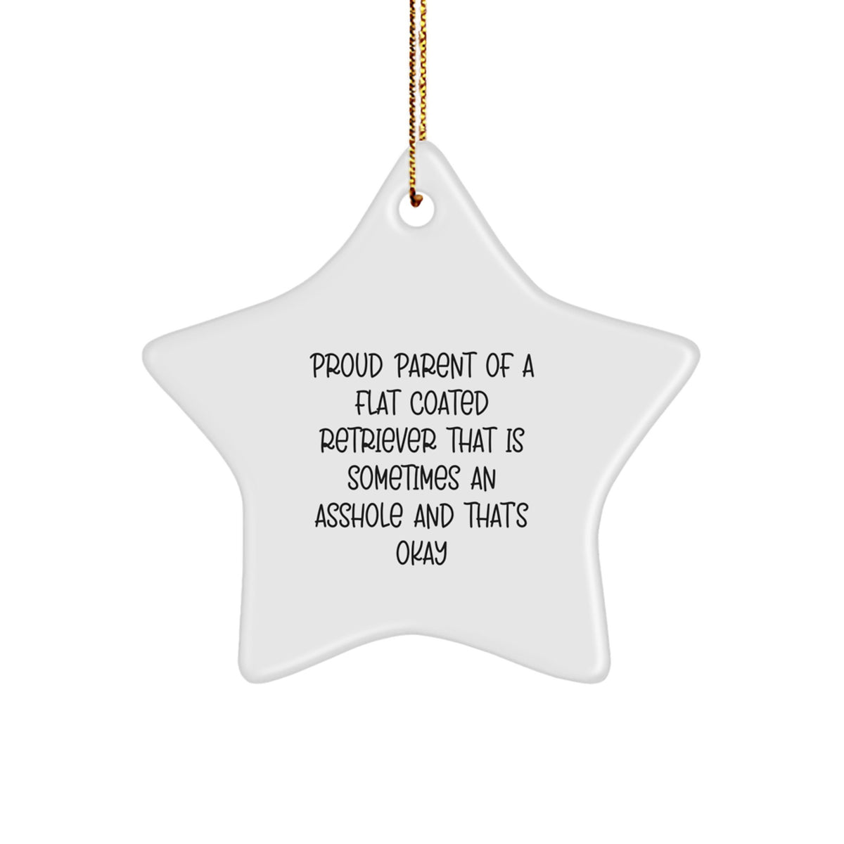 Christmas Ornament Gift Flat Coated Retriever Parent's Humorous Saying - Image 1