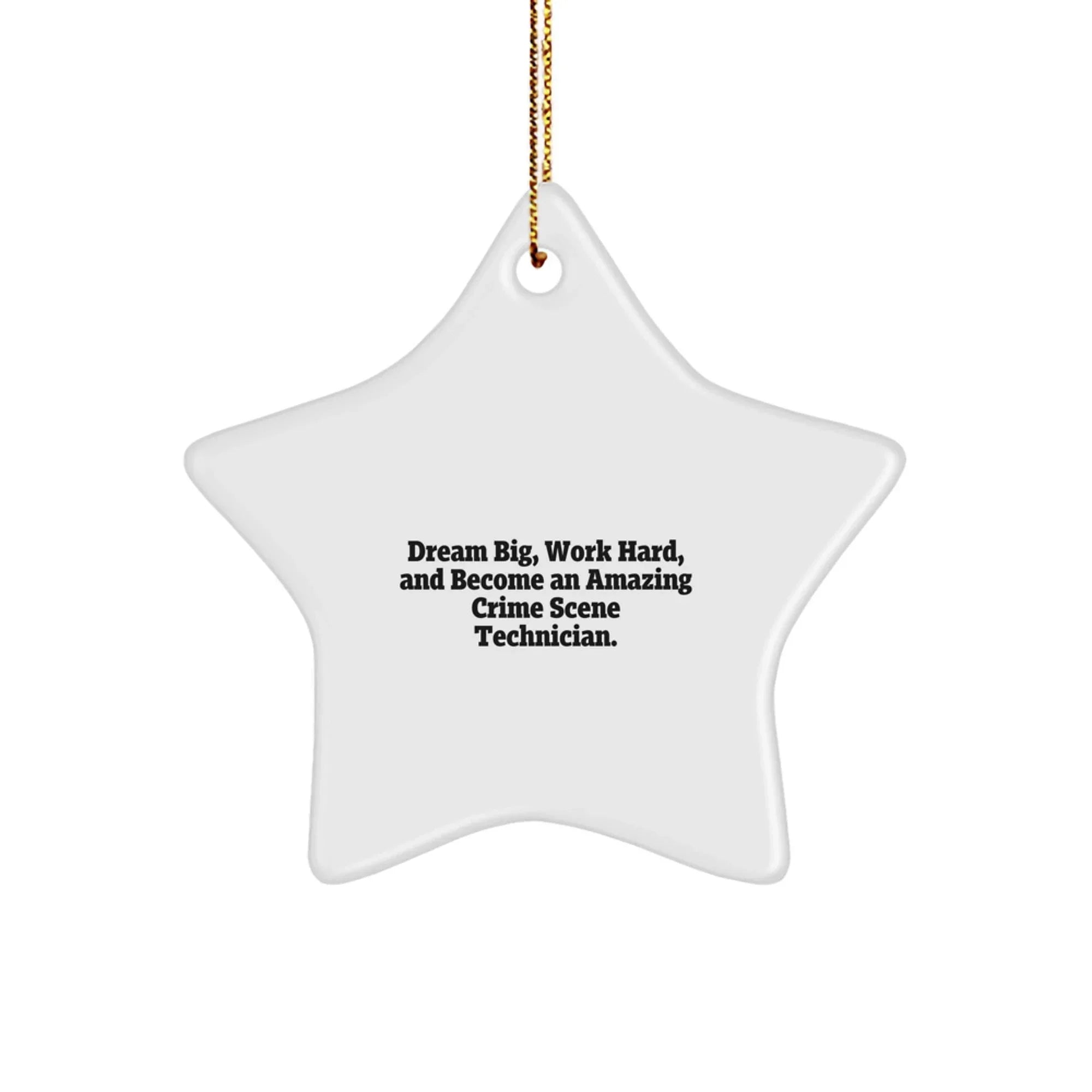 Crime Scene Technician Gifts, Dream Big and Work Hard Star Ornament, Unique Christmas Decorations for Men and Women, Funny Inspirational Quote, Gifts from Friends and Family