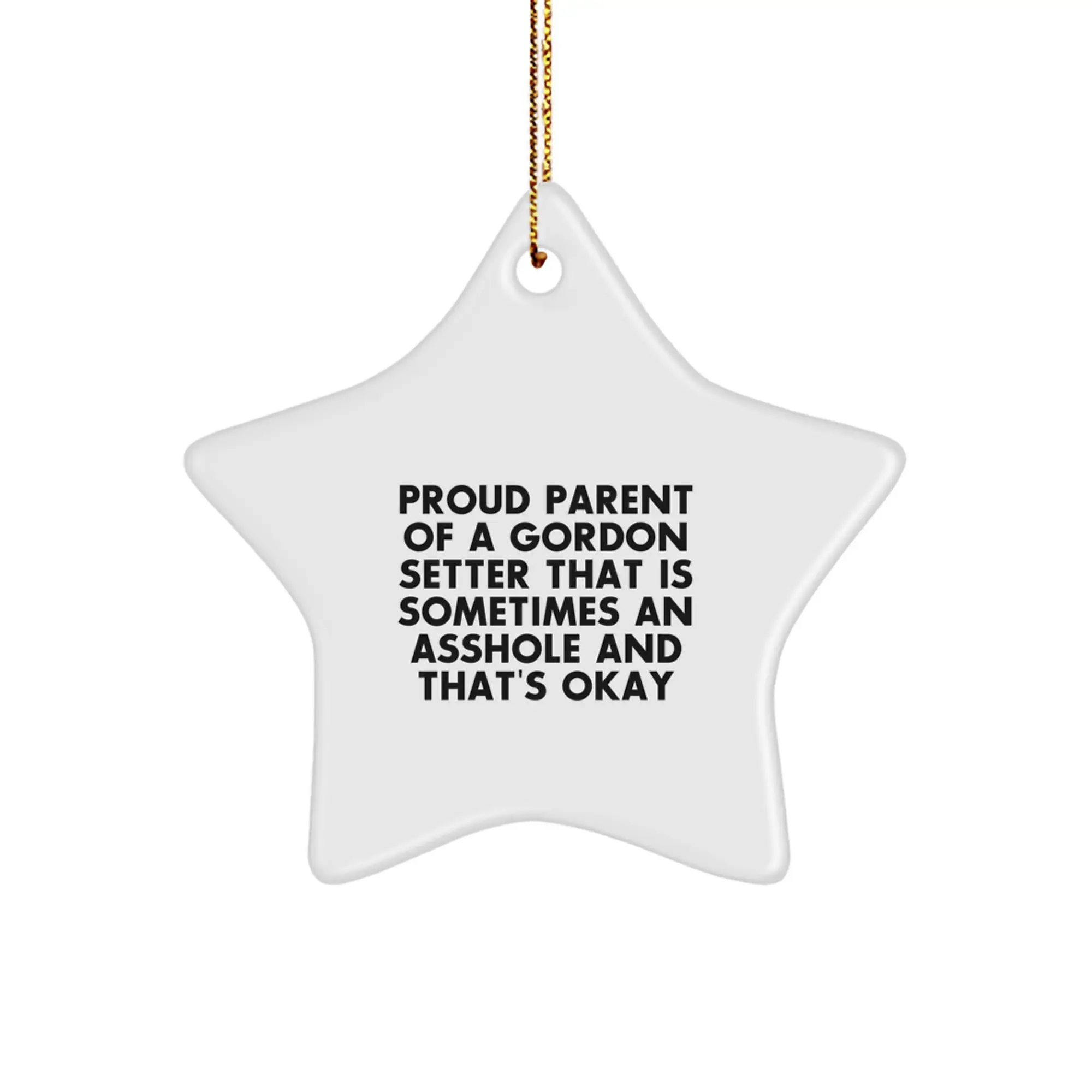 Gordon Setter Dog Star Ornament Gifts from Friends for Christmas - Proud Parent Quotes - Funny Star Shaped Decoration - Image 1