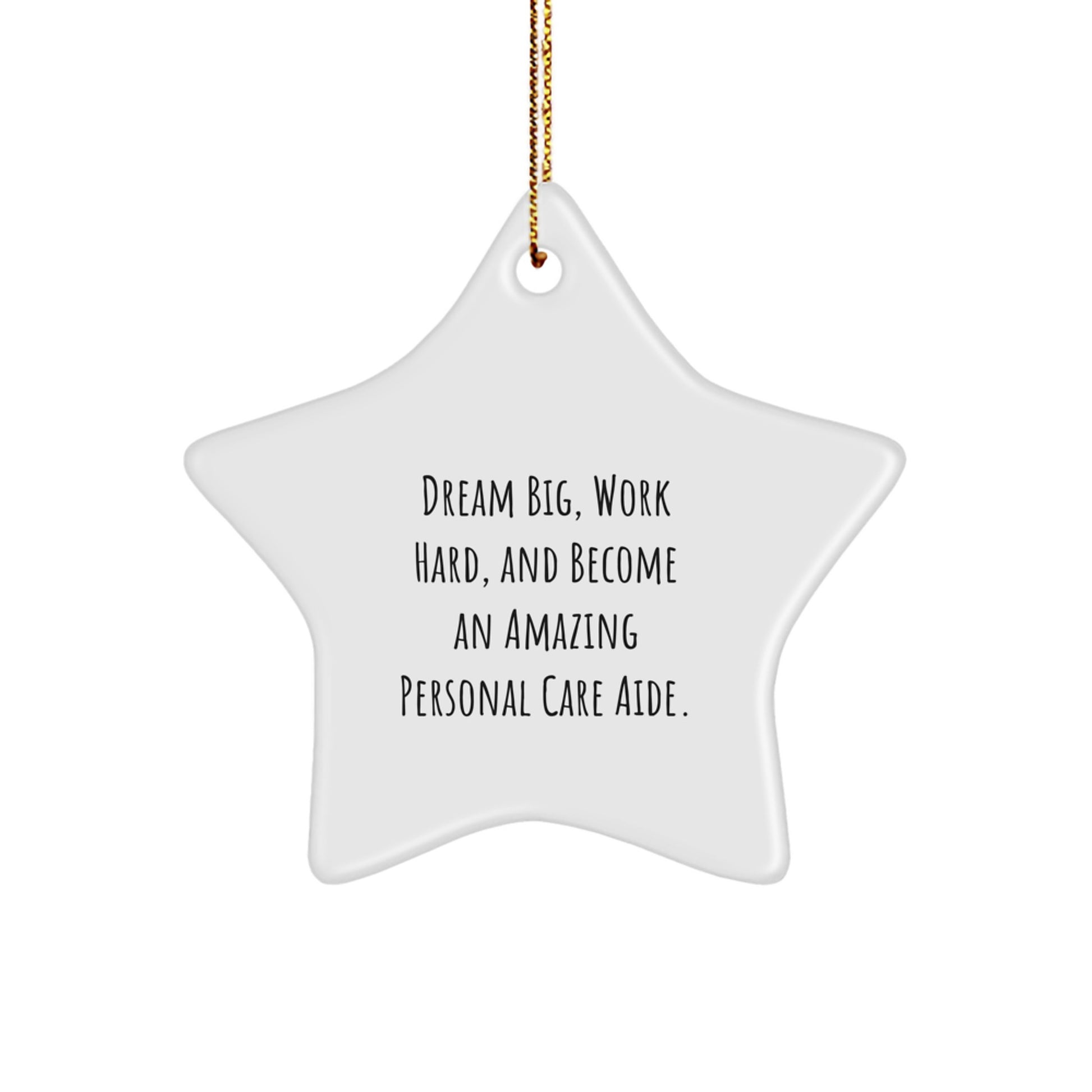 Gifts from Family to Personal Care Aide, Inspirational Star Ornament, 'Dream Big, Work Hard, And Become An Amazing Personal Care Aide', Christmas Unique Gifts