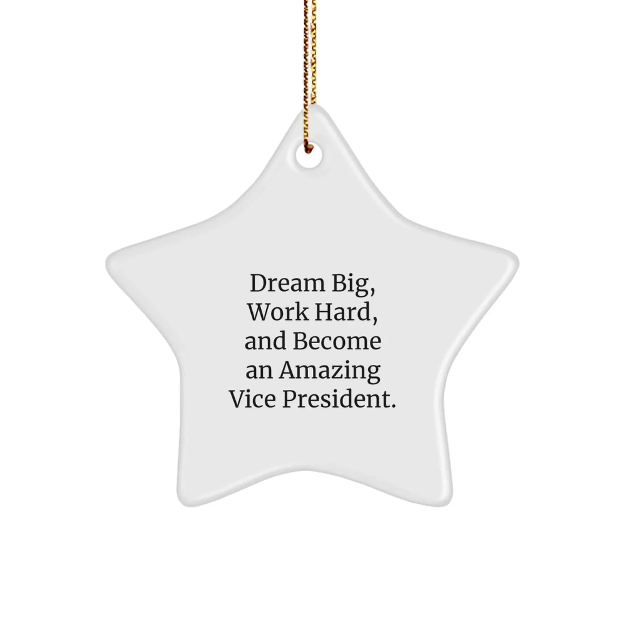 Vice President Star Ornament Gifts from Friends and Family for Men, Funny Inspirational Quote 'Dream Big, Work Hard, And Become An Amazing Vice President.'