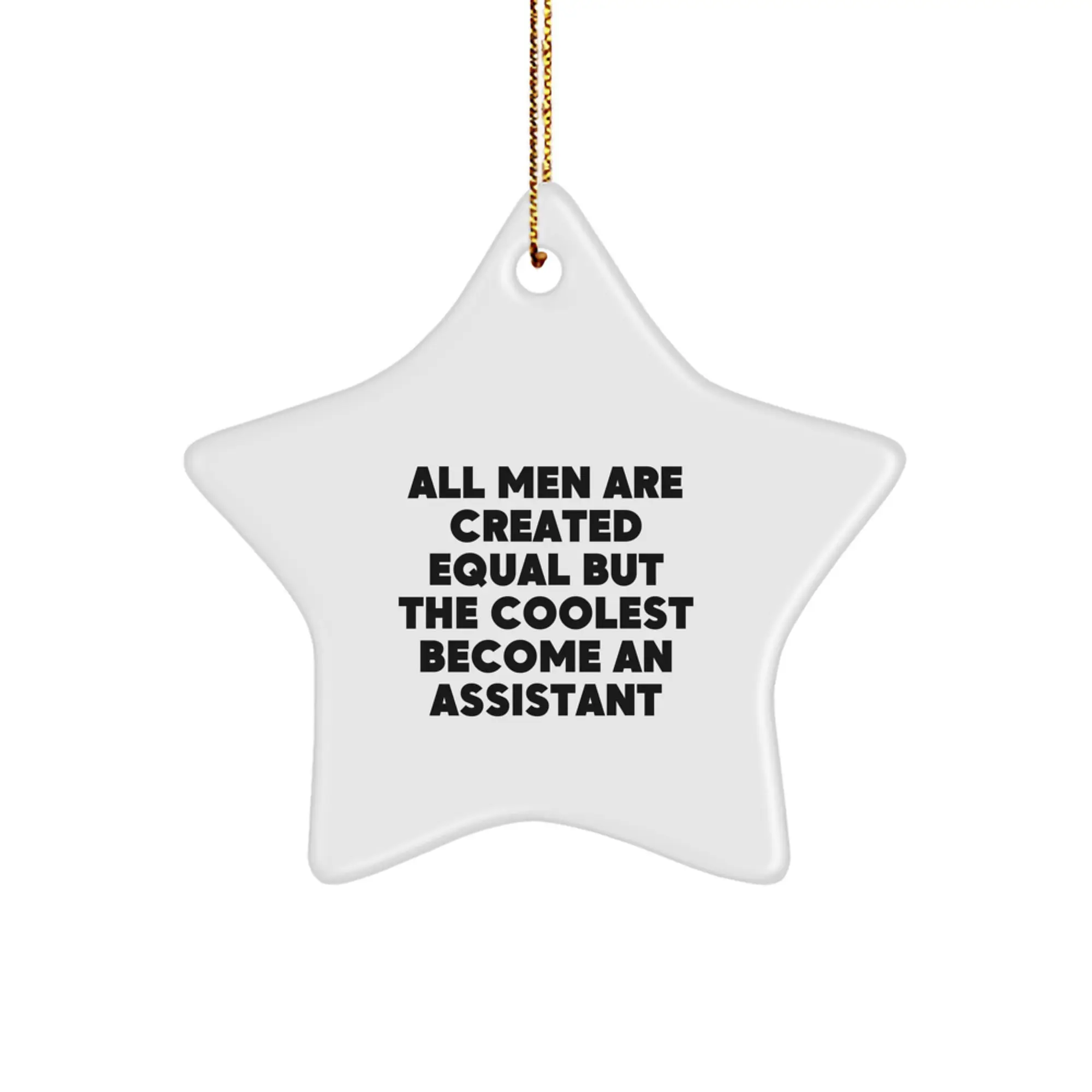 Christmas Gift for Roommates - Collectible Assistant Star Ornament, All - Image 1