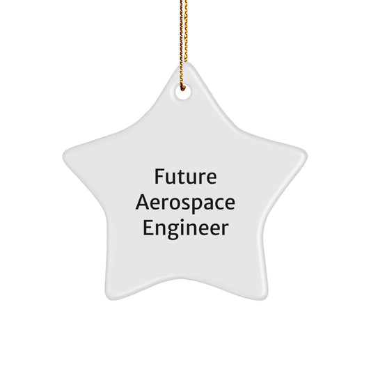 Funny Future Aerospace Engineer Christmas Star Ornament Gifts from Friends