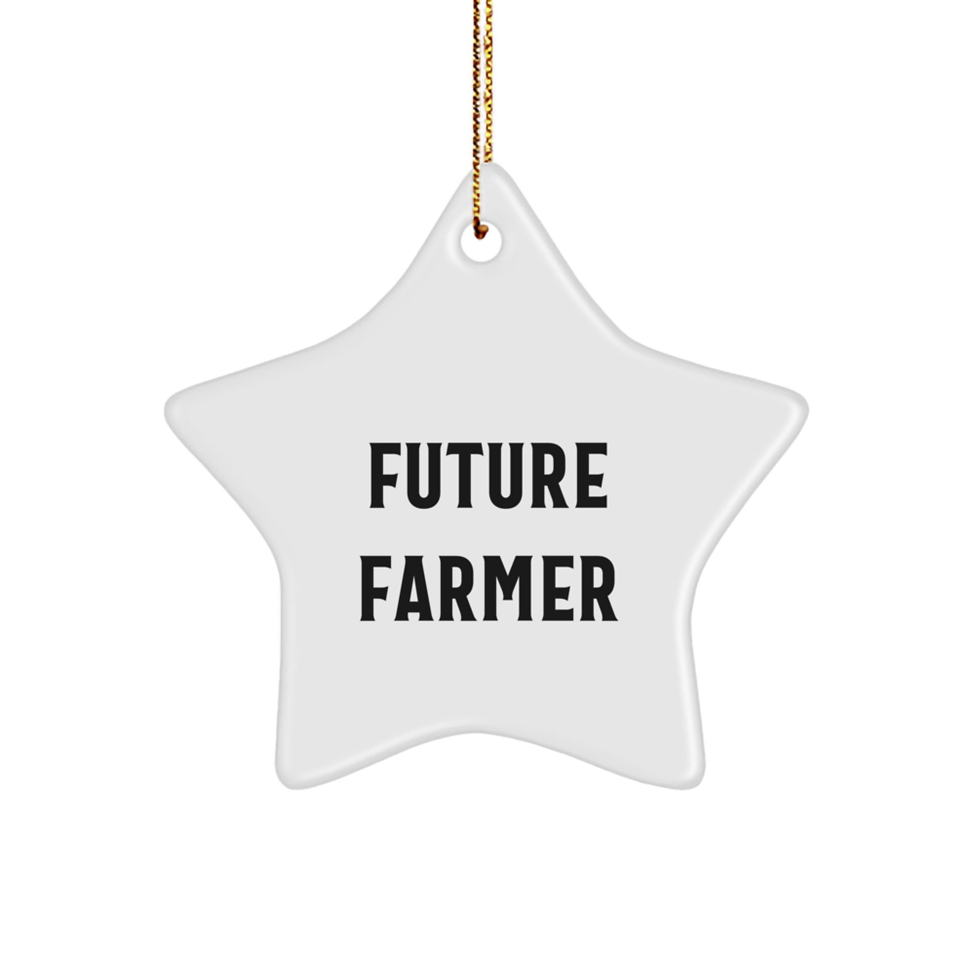 Funny Future Farmer Christmas Unique Gifts from Friends and Family - White Star Ornament for Farmers, Men, Women - Inspirational Star Ornament Gifts for Christmas - Image 1
