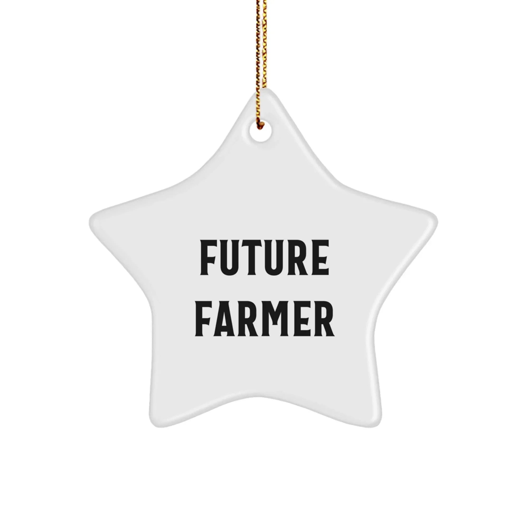 Funny Future Farmer Christmas Unique Gifts from Friends and Family - White Star Ornament for Farmers, Men, Women - Inspirational Star Ornament Gifts for Christmas
