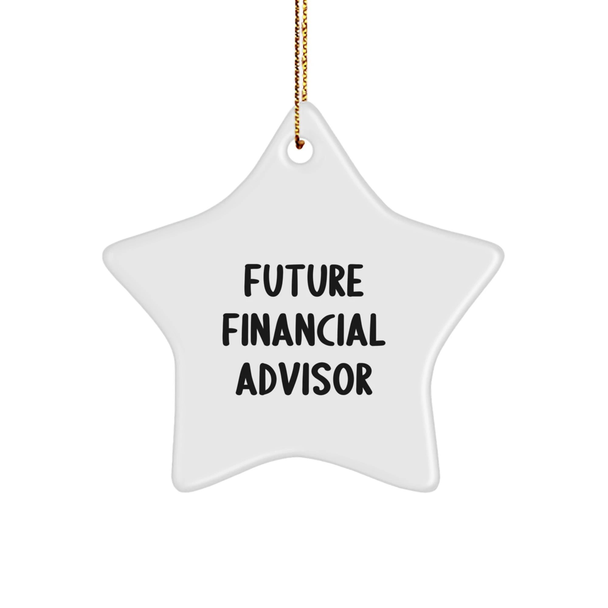 Funny Future Financial Advisor Star Ornament Gifts from Family to Financial Advisor for Christmas Unique Office Decor