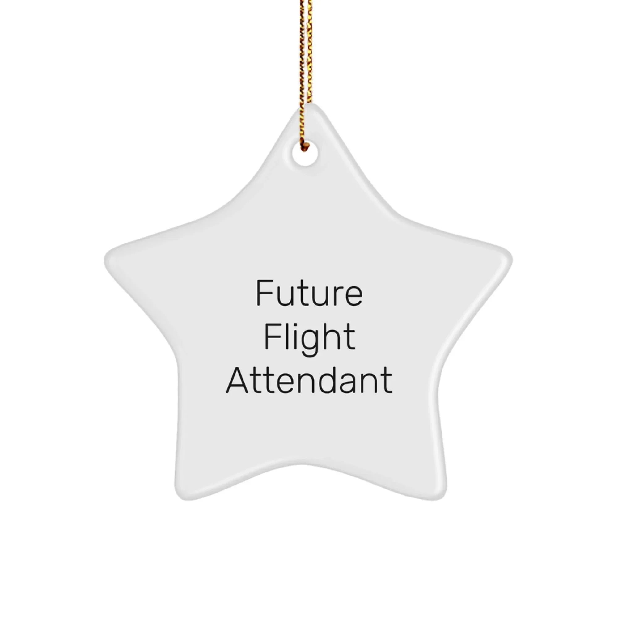 Inspirational Gifts from Friends to Future Flight Attendants, Funny Star Ornament for Christmas Unique Gifts