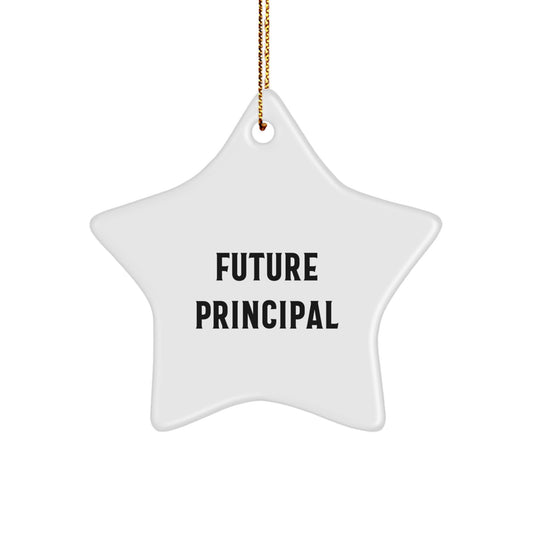 Funny Principal Gifts from Friends for Christmas - Star Ornament with Quote 'Future Principal' - Unique Christmas Unique Gifts for Principal - Image 1