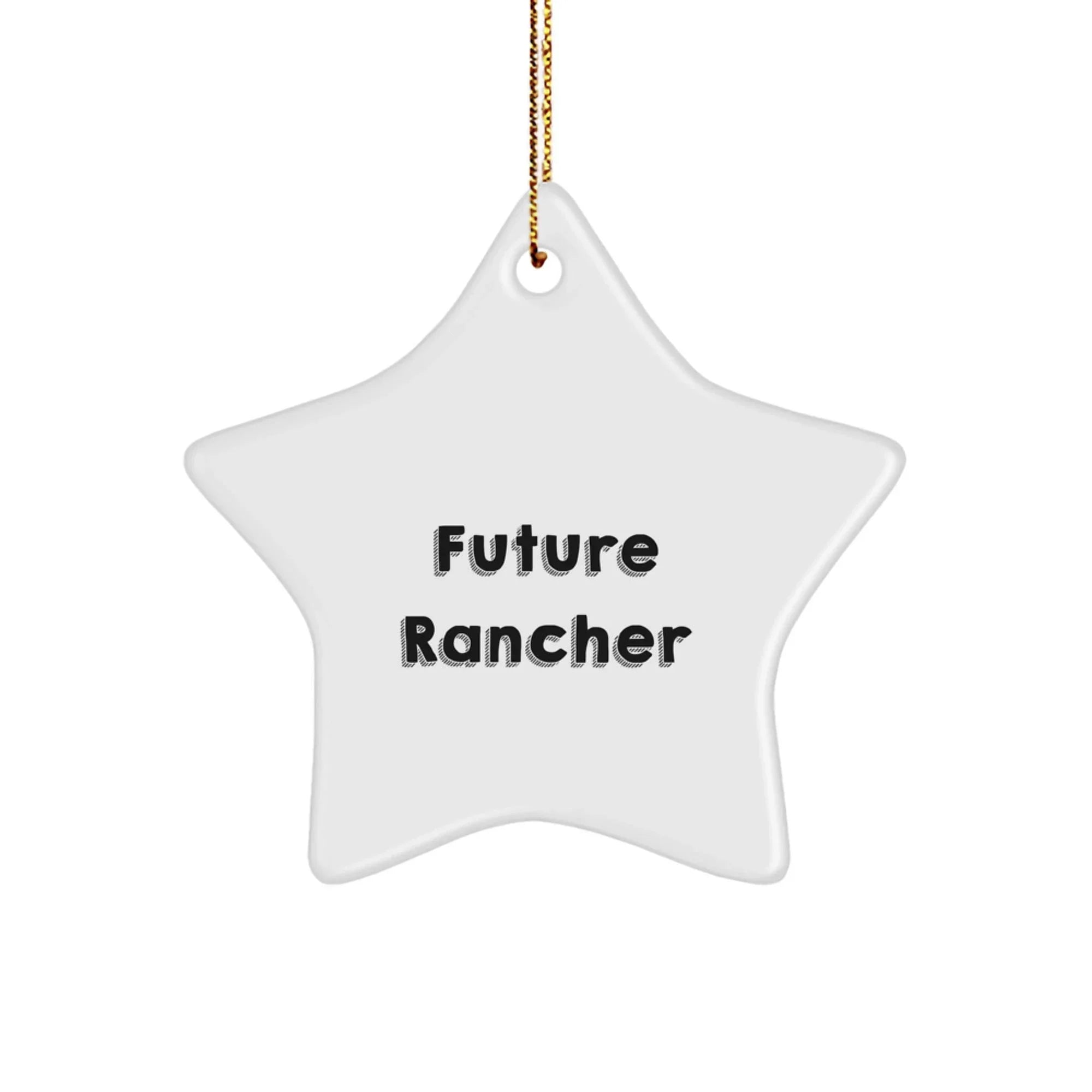 Future Rancher Inspirational Star Ornament Gifts from Friends for Men, Funny Quote Christmas Unique