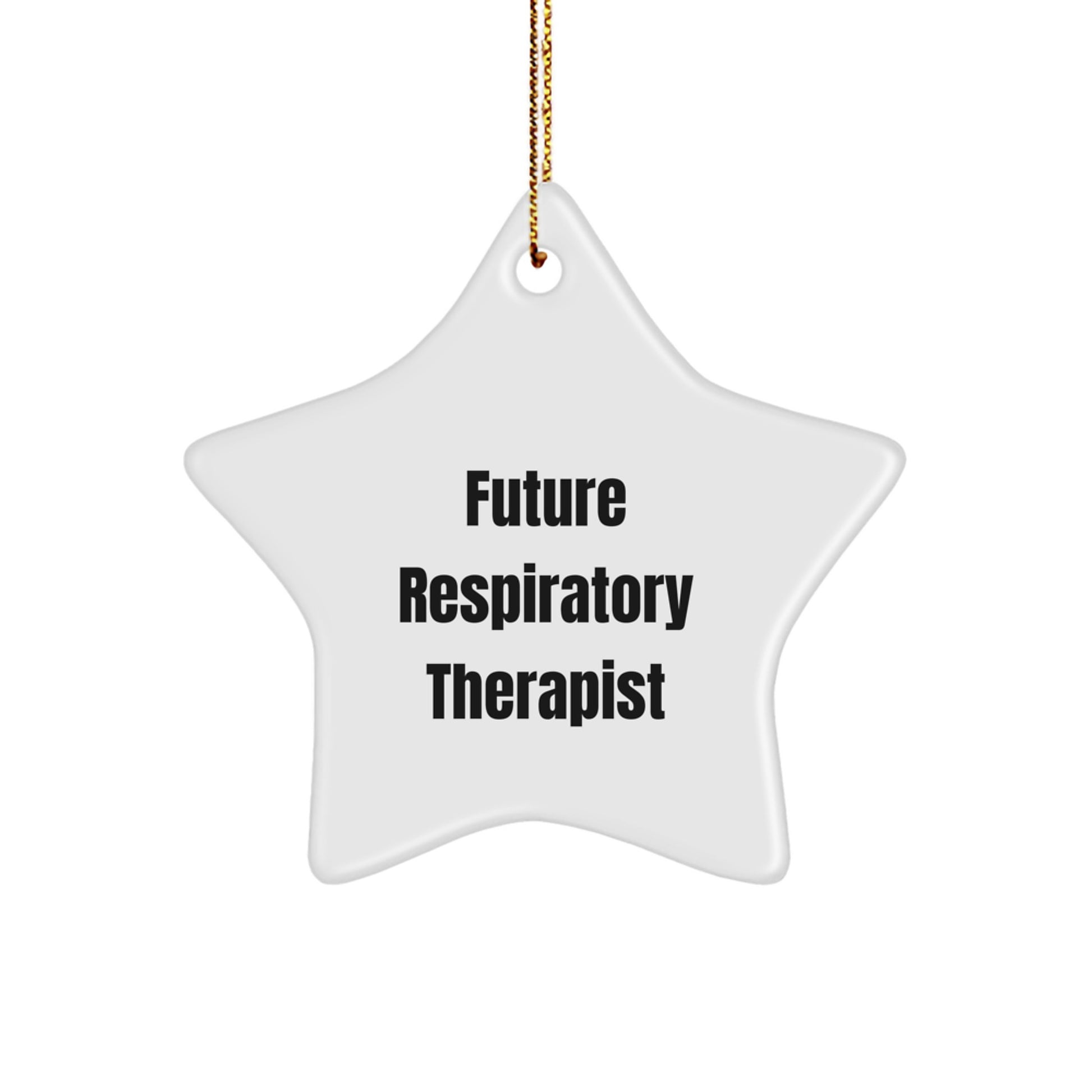 Funny Inspirational Gifts from Family to Future Respiratory Therapist Star Ornament Christmas Decorations Printed with Sublimation - Image 1