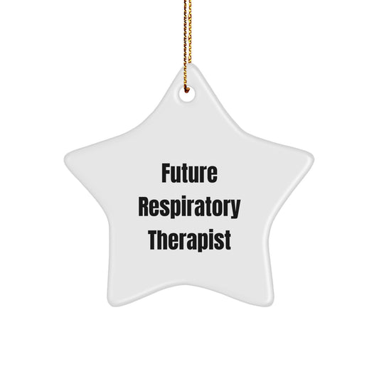 Funny Inspirational Gifts from Family to Future Respiratory Therapist Star Ornament Christmas Decorations Printed with Sublimation - Image 1