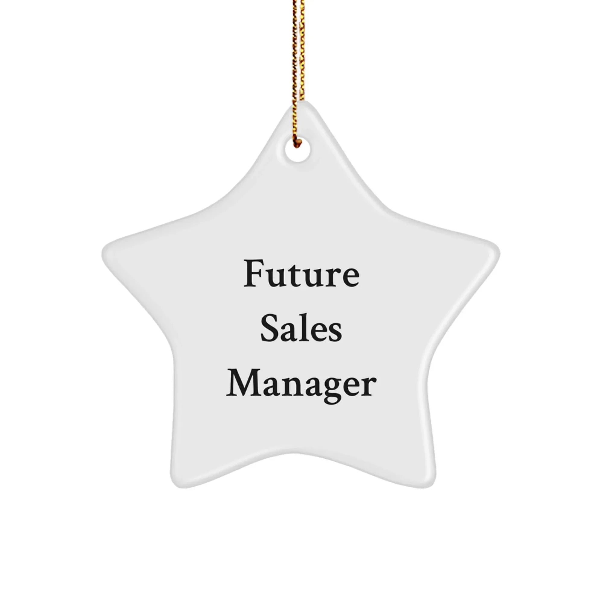 Funny Quotes Sales Manager Gifts from Men to Christmas Unique Star Ornament for Future Sales Manager