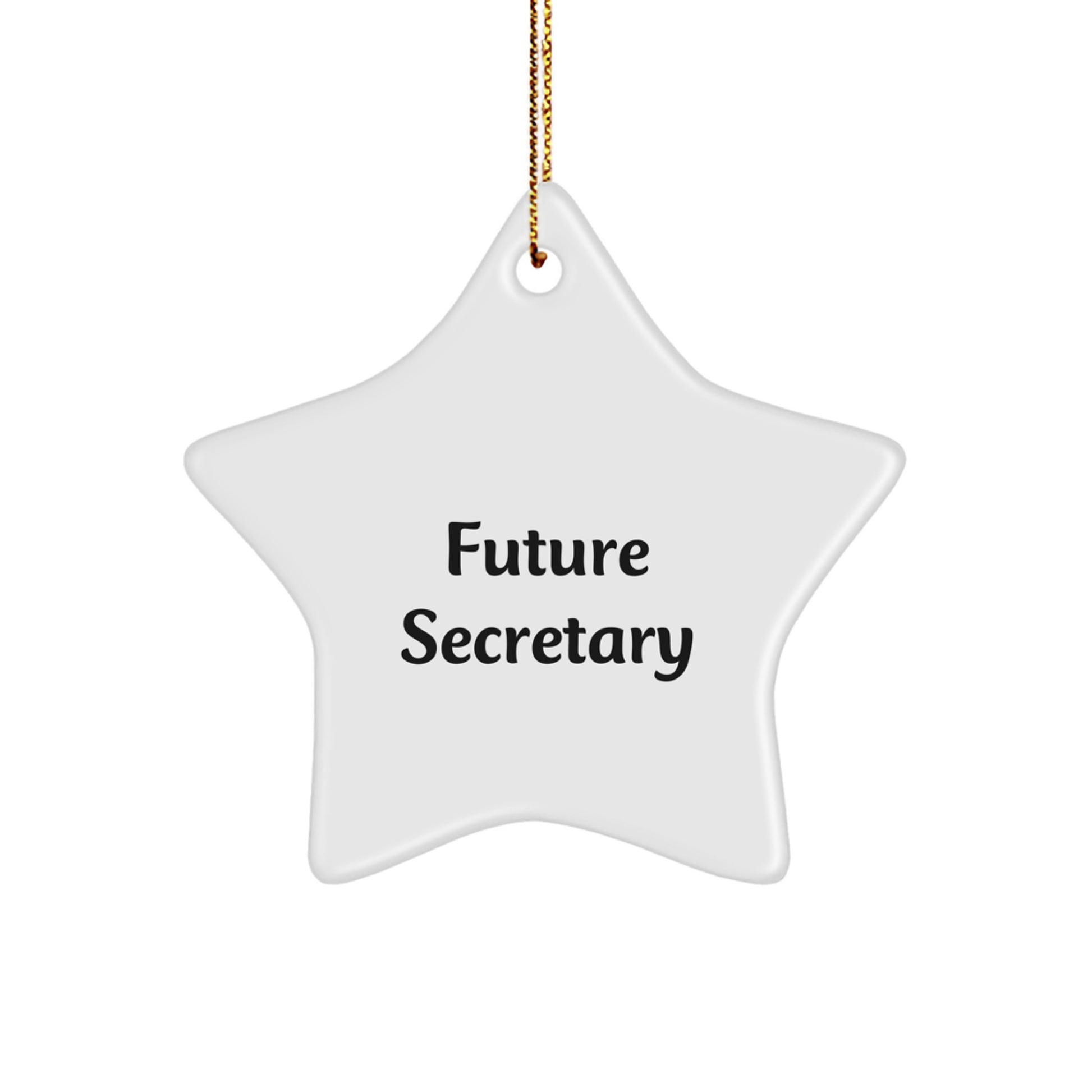 Funny Future Secretary Star Ornament for Secretary Gifts from Men, Women, Friends, Coworkers, Family - Inspirational Secretary Christmas Unique Gifts - Image 1