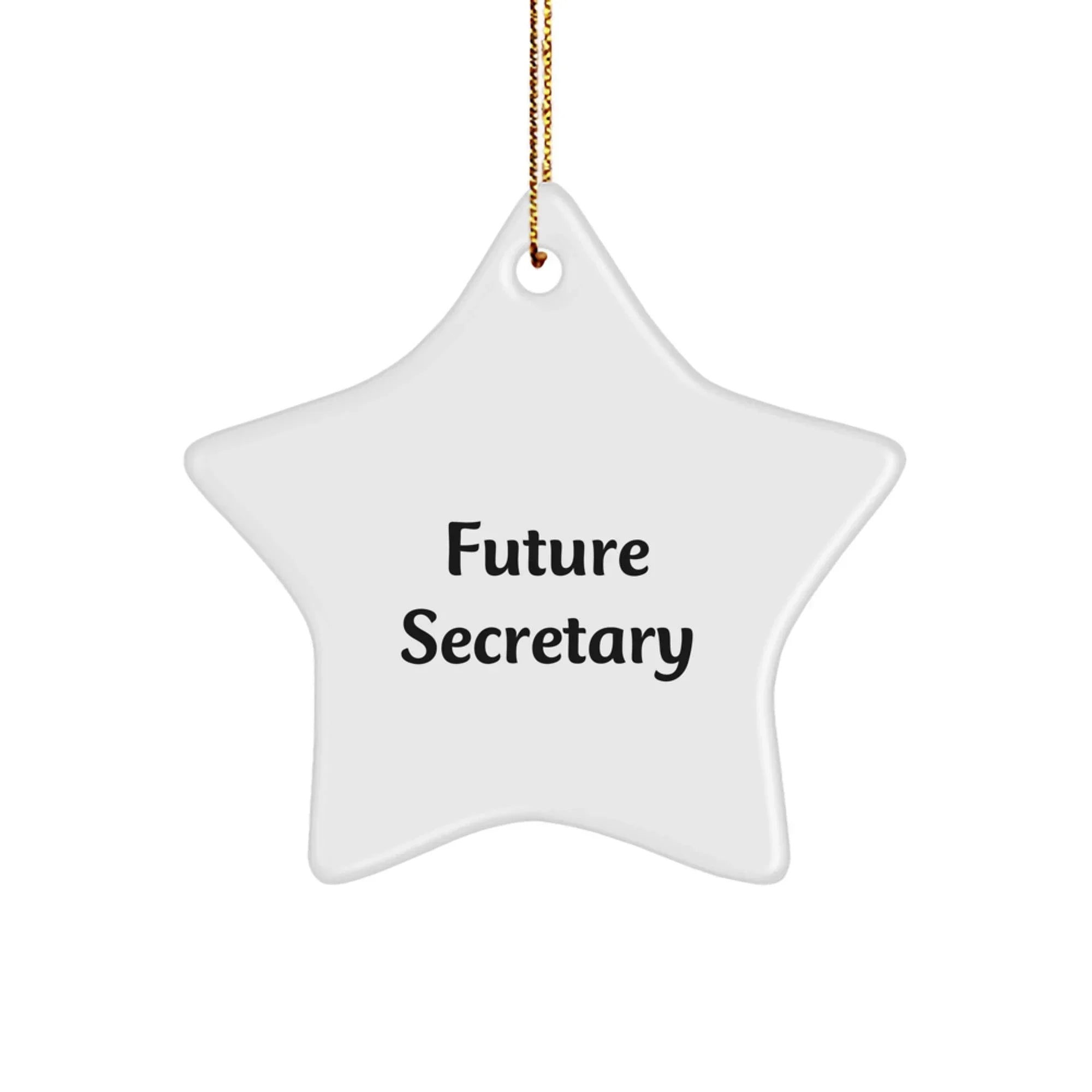 Funny Future Secretary Star Ornament for Secretary Gifts from Men, Women, Friends, Coworkers, Family - Inspirational Secretary Christmas Unique Gifts