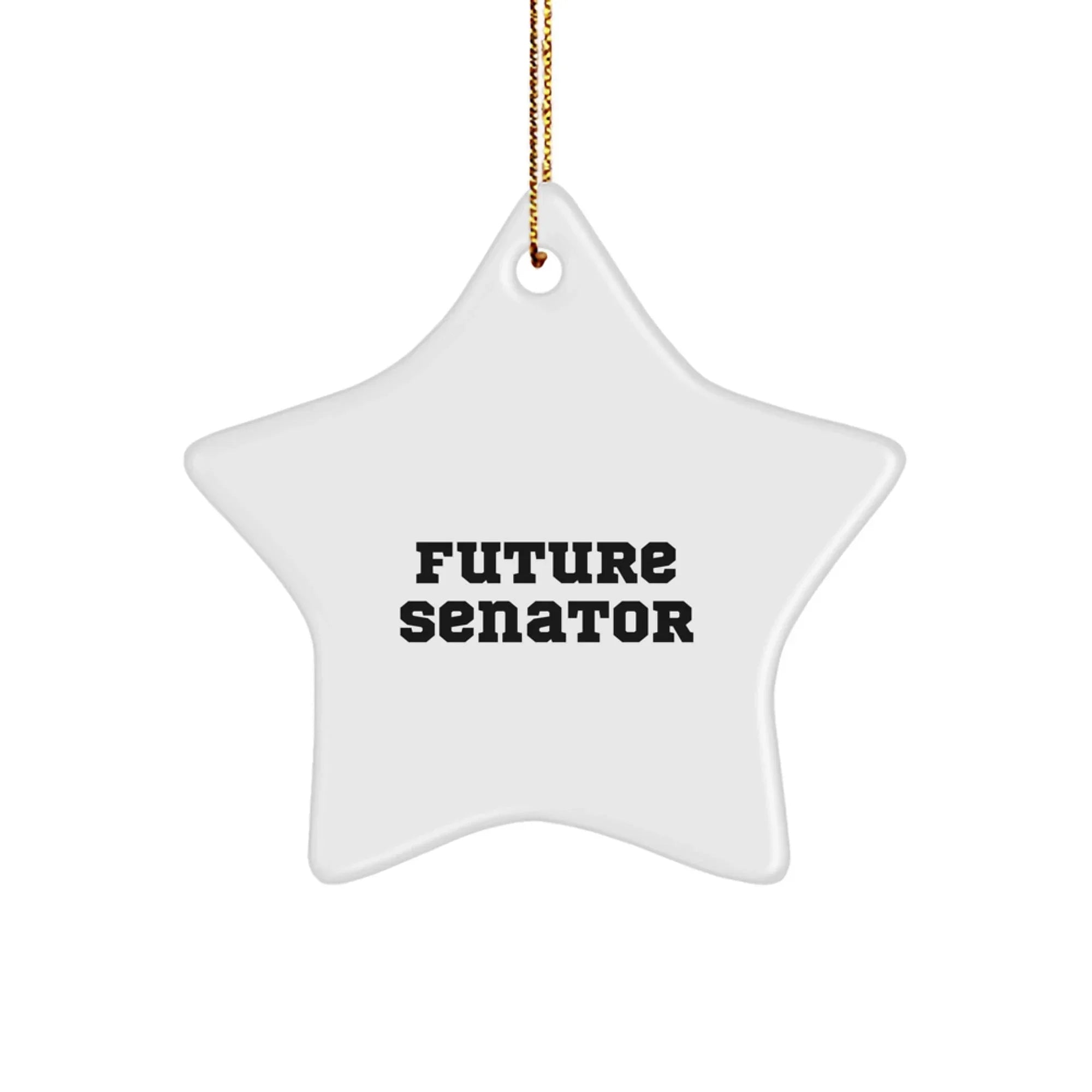 Funny Senator Star Ornament Gifts from Friends for Men with 'Future Senator' Quote, Unique Christmas Decorations