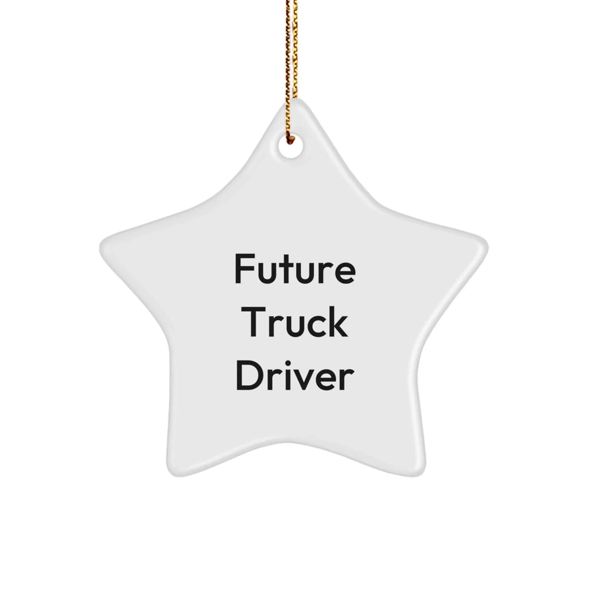 Funny Future Truck Driver Gifts, Star Ornament for Christmas Unique Presents from Family to Men, Inspirational Quote Decorations