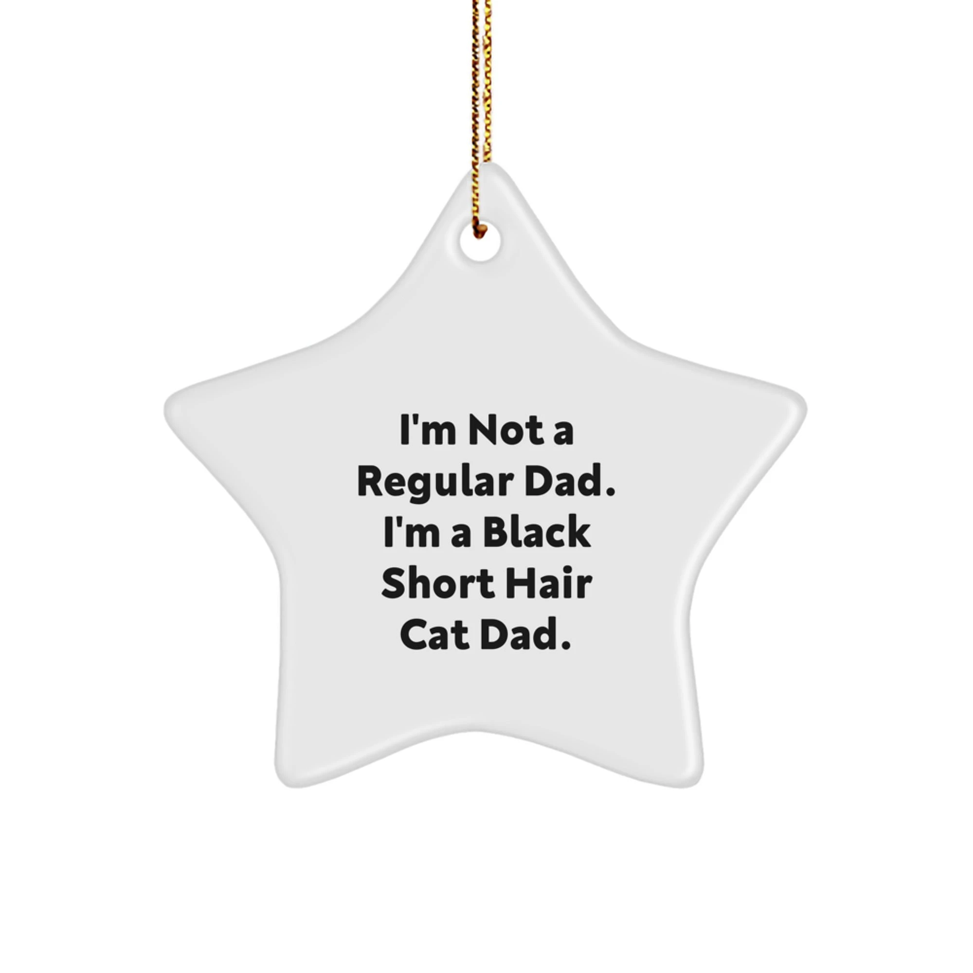Funny Black Short Hair Cat Dad Gift, 'I'm Not A Regular Dad' Star Ornament for Black Short Hair Cat Lovers, Unique Christmas Unique Gifts from Men to Family
