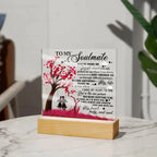 To My Soulmate - I Gave my Heart to You - Acrylic Plaque