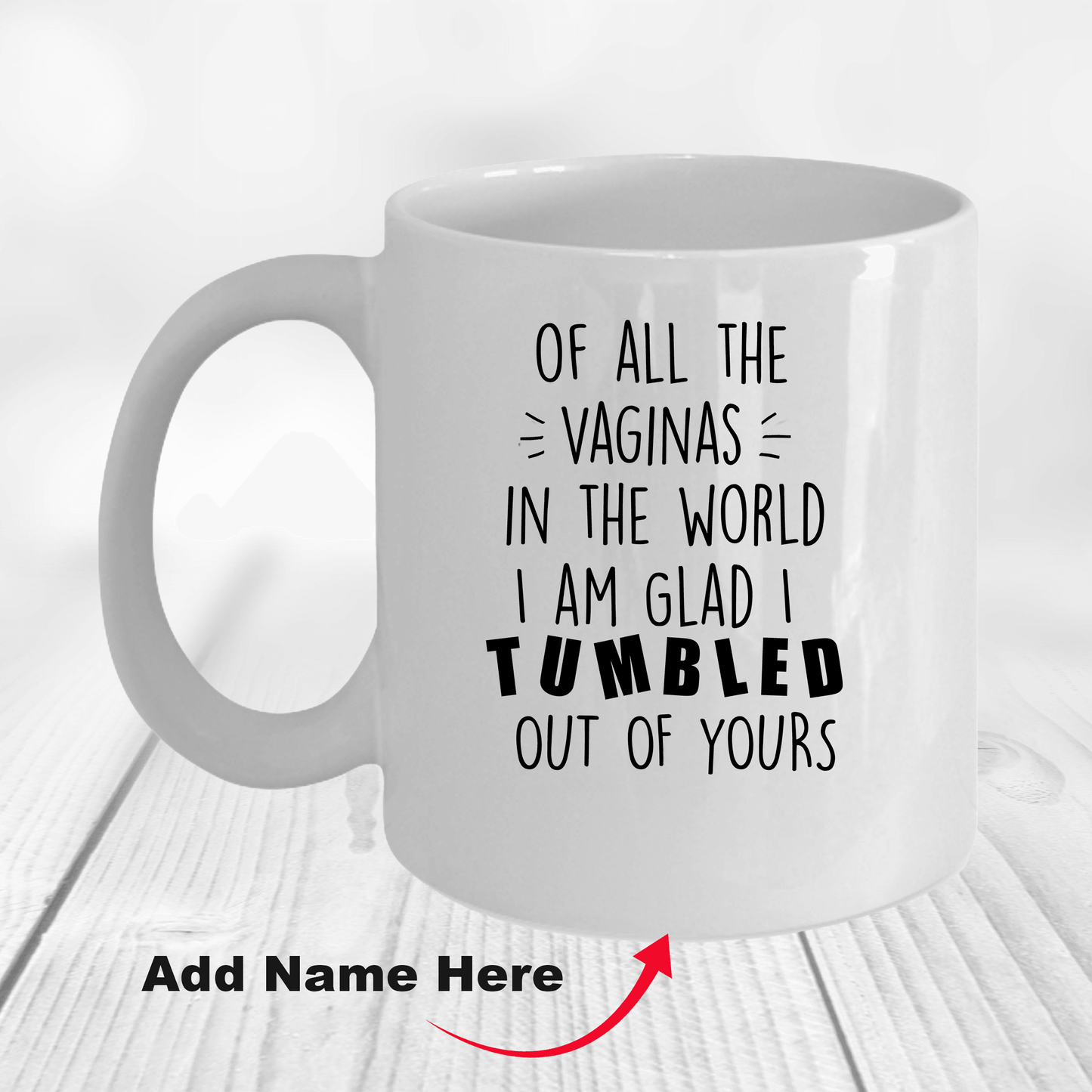 Rudely Funny Personalized Mother's Day Gift from Daughter or Son of All the Vaginas - Mallard Moon Gift Shop