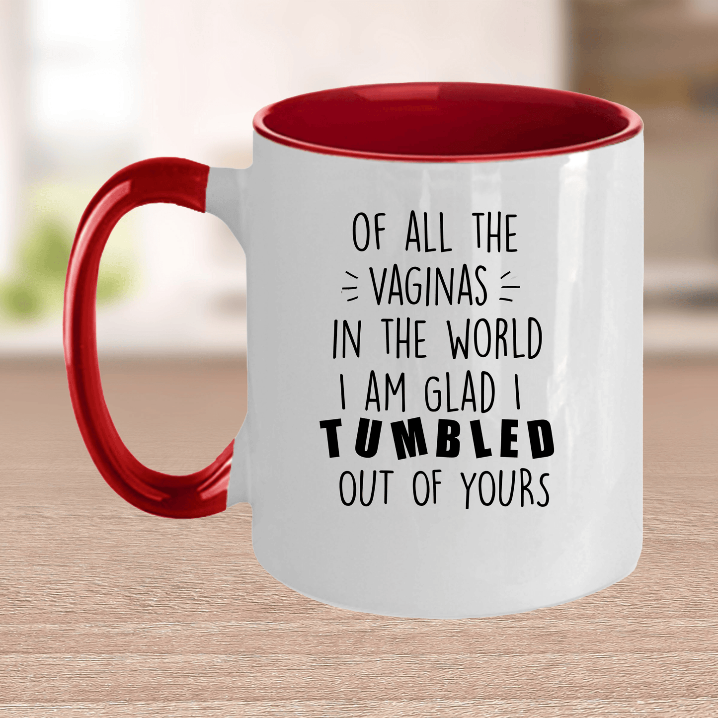 Rudely Funny Personalized Mother's Day Gift from Daughter or Son of All the Vaginas - Mallard Moon Gift Shop