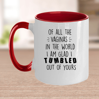 Rudely Funny Personalized Mother's Day Gift from Daughter or Son of All the Vaginas - Mallard Moon Gift Shop