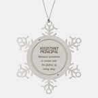 Sarcastic Assistant Principal Snowflake Ornament Gifts, Christmas Holiday Gifts for Assistant Principal Ornament, Assistant Principal: Because greatness is woven into the fabric